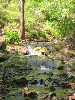 Vue de la finca de 68 has de Paquera, Costa Rica